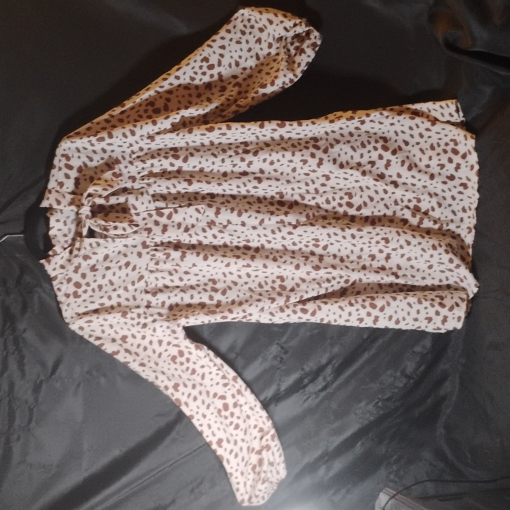 Cream and BrownTie Neck Bishop Sleeve Dress